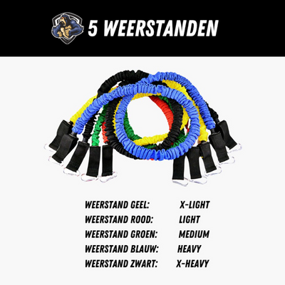 Weerstands Training Set - Fitnessbanden met Handvaten